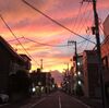 ジョギング休止とはかどった作業