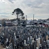 寝る前にソララックス