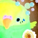 momo’ blog