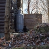 風景に溶け込まない黒猫