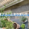【続報】何が効いたか不明だけど、猫フン被害は止まりました！