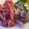 キハダマグロと鯵刺身