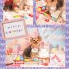 ライムっ子ムイビエン君