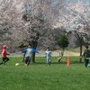 花より団子…そして団子より遊び