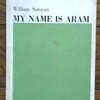 サイドリーダー "My Name Is Aram"