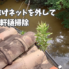 落ち葉除けネットを外して軒樋掃除