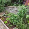 レンガの小道　畑とハーブ花壇、ハーブと冬野菜
