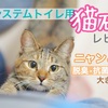 システムトイレ用猫砂レビュー : ニャンとも脱臭•抗菌チップ大きめの粒