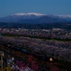 桜金太郎を船岡で情景撮影 その一