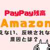 AmazonでPayPay残高があるのに使えない、反映されない３つの原因