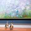 ペンギンが美術館で絵画鑑賞？こんなジョークなら全然OK！