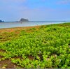 賽の河原で石を積む。日々是修行