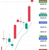 めでたさも 中くらいなり 日経4万