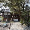 2022/03/11 根岸散歩 05 永稱寺/千手院/うぐいす通り商栄会/世尊院/西念寺/中根岸児童遊園