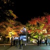 大山阿夫利神社の紅葉！大山ケーブルカーの詳細と紅葉の見頃の時期とアクセス