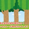 これは原住民の伝統料理なのか？ アマゾンのカレーが発売されてしまう・・・