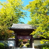 あれよと言う間に夏になってしまった！（泣）
