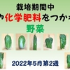 農薬や化学肥料をつかわない野菜（2022年5月第2週）