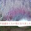 不思議なくらい楽になりました