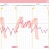 高温期がいつに無く順調