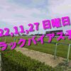 2022,11,27 日曜日 トラックバイアス予想 (東京競馬場、阪神競馬場)