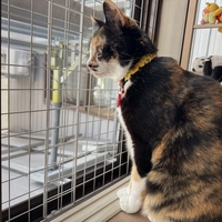 海辺の暮らしの楽しみ方🌊