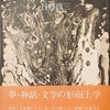 虚構的時代の虚構　日野啓三評論集