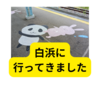 サイコロきっぷで白浜格安日帰り旅【まとめ】