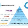 水草に必要なものって何だろう？【其の三】