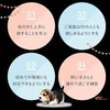 子犬の社会化に必要なステップ