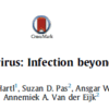 E型肝炎の肝外合併症 Hepatitis E virus (Review) : Infection beyond the liver?  J Hepatology 2017; 66: 1082-1095  