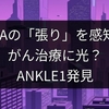 DNAの「張り」を感知！がん治療に光？ANKLE1発見