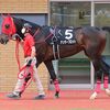 １６日の検疫で函館競馬場（加藤征厩舎）へ帰厩。次走は来月９日の函館・五稜郭Ｓを予定しています。☆アンダープロット