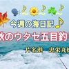 今週の海日記🍁片名港忠栄丸さんでウタセ五目釣り