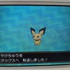 リージョンフォーム集めアローラ編①