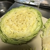 キャベツまるごと簡単調理　ヘルシオ導入で油汚れなし　