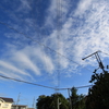 7月8日（火）晴れのち雨