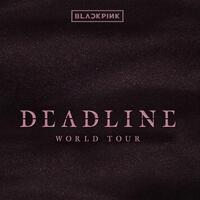 BLACKPINK - Fxxxboy 歌詞 ( Lyrics)「和訳対照」