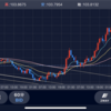 FX日記04 捕まるドル円ポンドゴルと学ばない豚