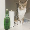 Perrier