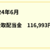 2024年6月受取配当金116,993円