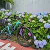 日曜日だけど···🚴💨