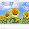 部分的なカラー強調で写真をスタイリッシュに演出する方法【Photoshop Elements】