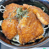 ソースかつ丼／唐沢山レストハウス（栃木県佐野市）　～謎の石からはじまった旅 3/8～