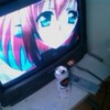 本日