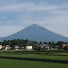 今朝の富士山（20230608）