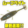 【DAIWA】オカッパリ基準のシャッドテールワーム「ムーブベイト」に新色追加！