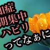 認知症短期集中リハビリテーション実施加算「日々のくらしにつなげる認知症リハビリテーション実践ガイド 」を読んで②