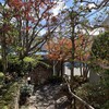 紅葉散る