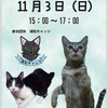 とりまシャー